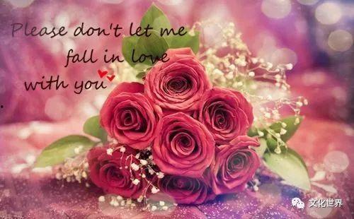 幸运玫瑰，周先生超宠我,宠爱无限的爱情故事