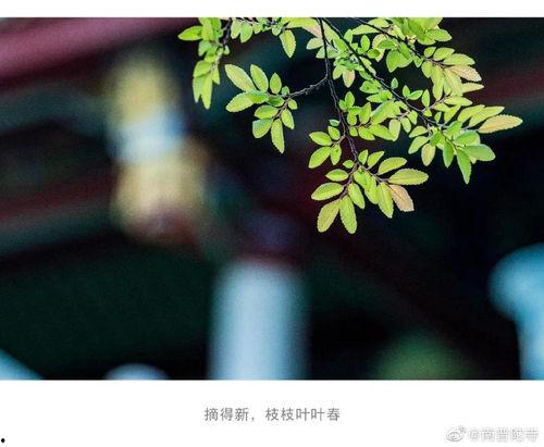 晴夏未央,悠长夏日里的温暖时光