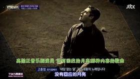 幻影歌手4,穿越时空的旋律传奇