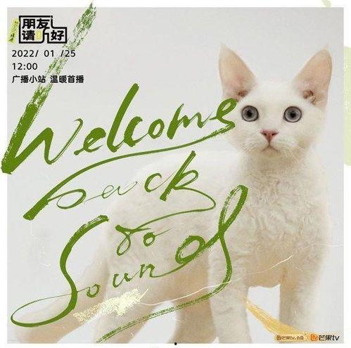 朋友请听好 第二季（悄悄话）